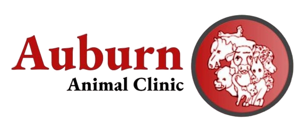 Auburn Animal Clinic